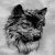 :iconqueens-wolf: