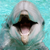 :iconQueenshara1991: