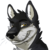 :iconquentinwolf: