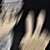 :iconqueso-san: