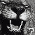:iconquestionmark-lion: