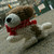 :iconquestofcamelittle: