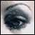 :iconquick-fade: