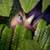 :iconquickcolorado: