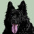 :iconquicksilverstudios: