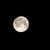 :iconquicksotic: