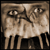 :iconquidjinn: