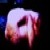 :iconquiet741: