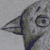 Quietalgilt :iconquietalgilt: