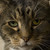 :iconquietcooneyes: