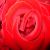 :iconquietcreativity: