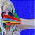 :iconquietmorning: