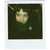 :iconquiettude: