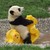 :iconquilyan: