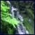 :iconQuinault: