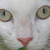 :iconquinnslayer: