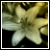 :iconquirkwolfess: