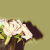 :iconQuirky-Girl: