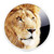 :iconquiro2: