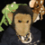 :iconquiter:
