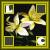 :iconquiteshadows:
