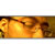 :iconquixotic-jam: