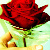 :iconquixoticlie:
