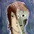 :iconquoaliis: