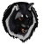 :iconqussa: