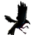:iconquyzone: