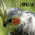 :iconqwerty76584:
