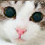 :iconqwertygirl18:
