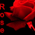 :iconr0sie: