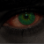 :iconr70: