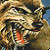 :iconr8812: