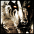 :iconr-adoptables: