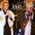 :iconr-ayu: