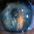 :iconr-deckard: