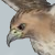 :iconr-ii: