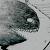 :iconR-Rausch: