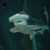 :iconr-sixxer: