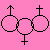 :iconr-x-stories: