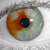:iconrab419: