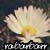 :iconrabarbarr: