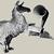 :iconrabbi-cool: