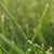 :iconrabbit-prince: