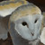 :iconrabbit-seeker: