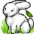 :iconrabbitadopts: