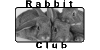 :iconrabbitclub: