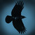 :iconrabens-braut: